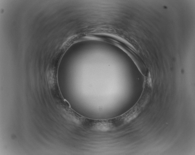 X0000078860708200611131203