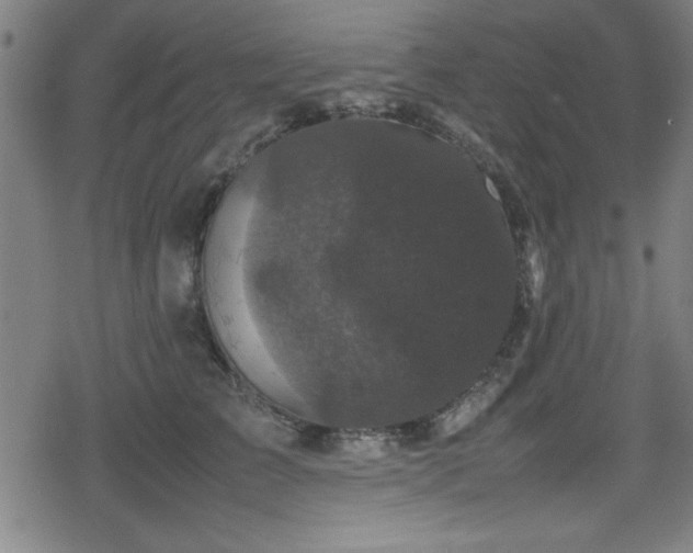 X0000078860709200611131203