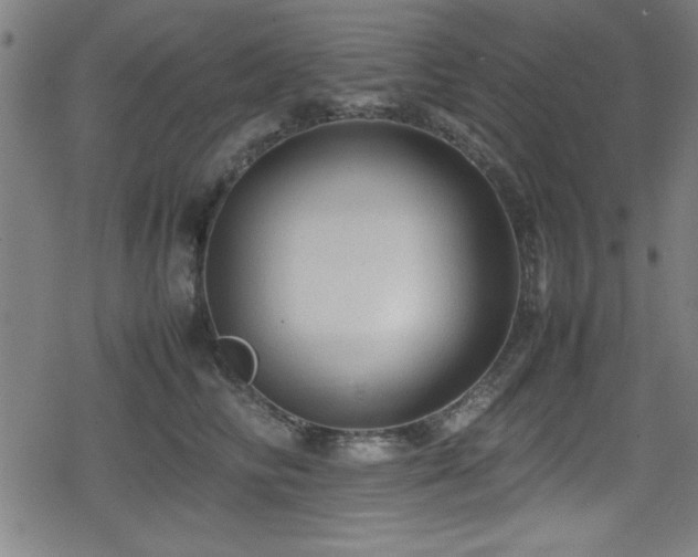 X0000078860710200611131203