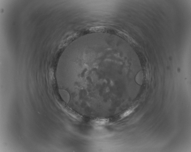 X0000078860711200611131203