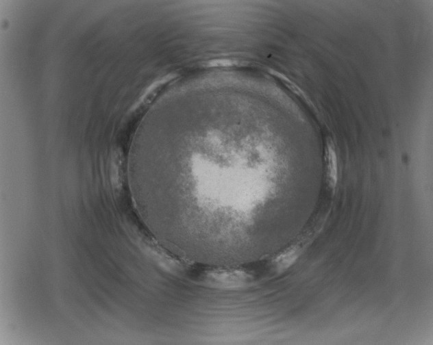 X0000078860712200611131203