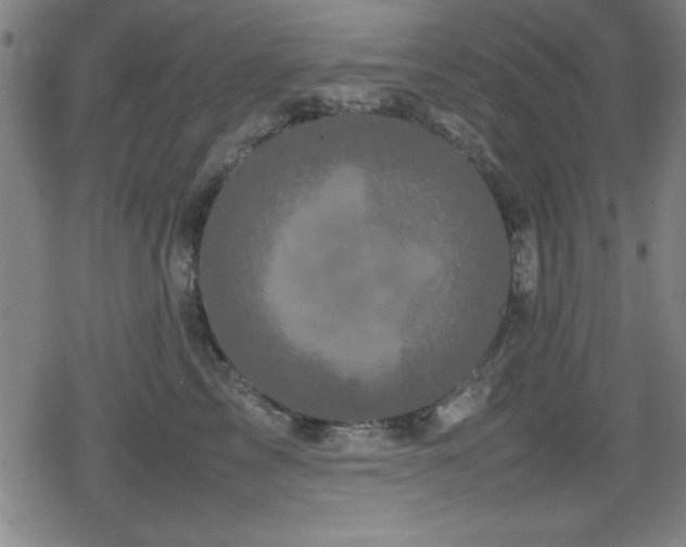 X0000078860713200611131203