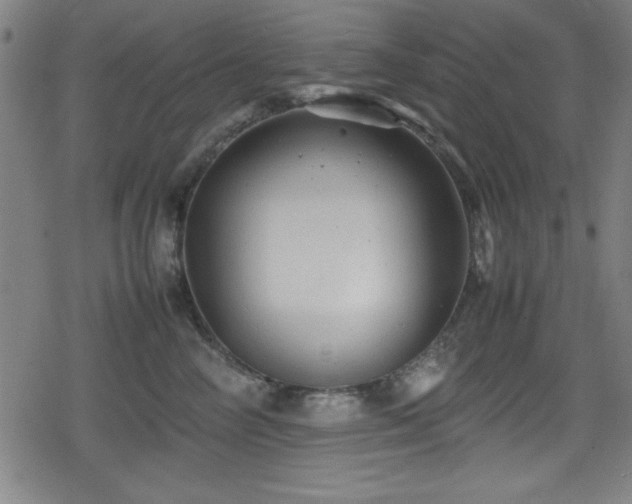 X0000078860714200611131203