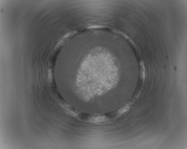 X0000078860716200611131203