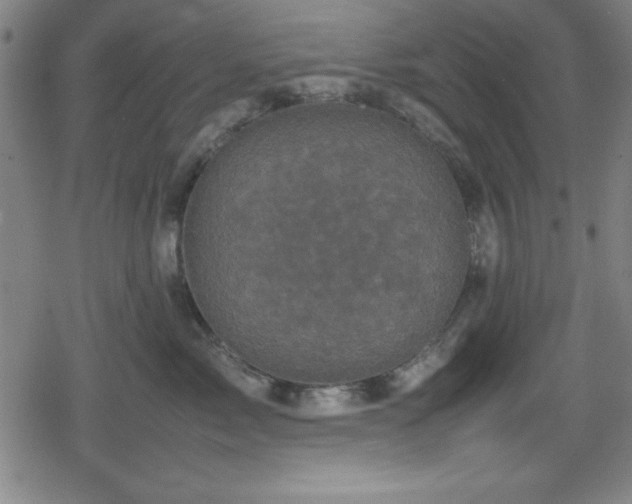 X0000078860717200611131203