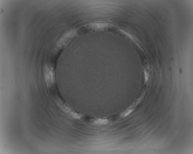 X0000078860718200611131203