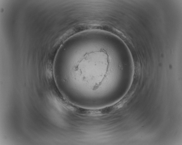 X0000078860719200611131203