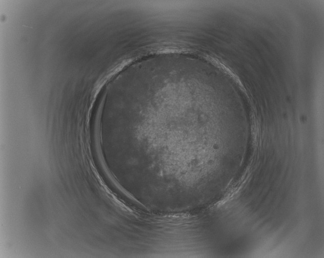 X0000078860721200611131202