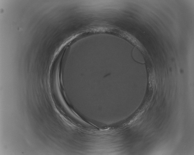 X0000078860722200611131202