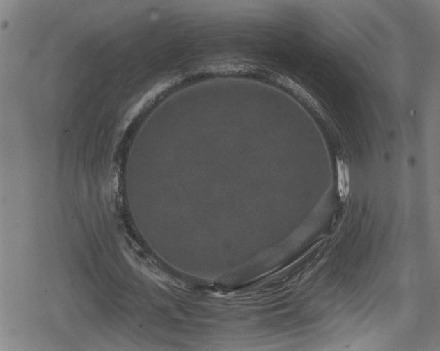 X0000078860723200611131202