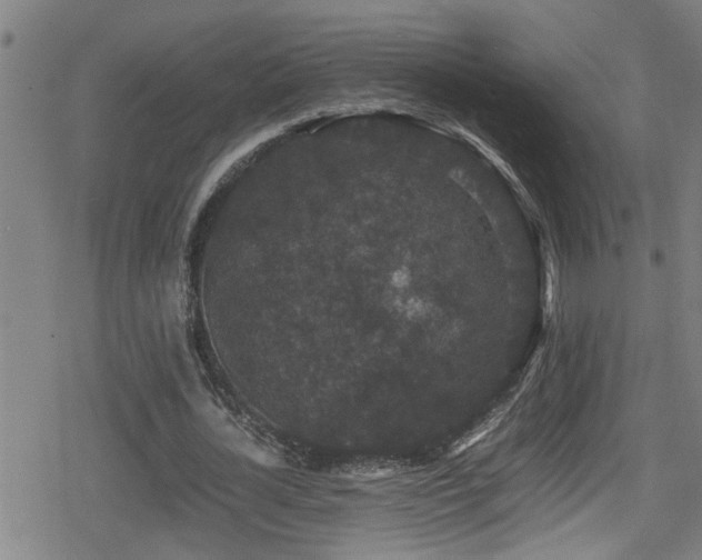 X0000078860724200611131202