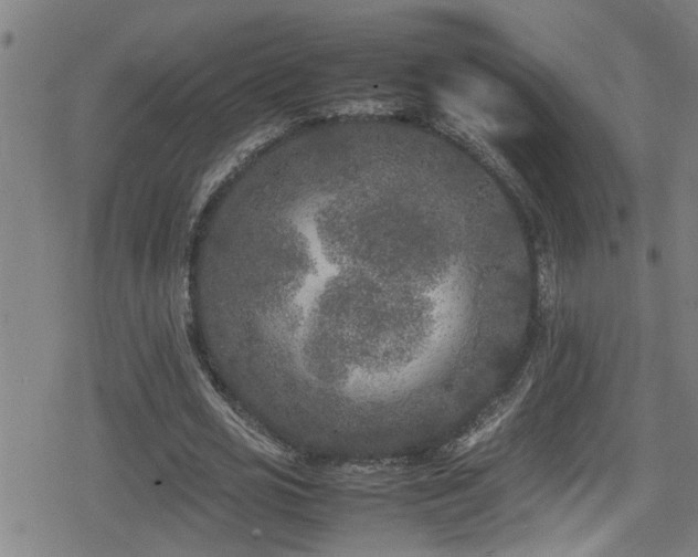 X0000078860725200611131202