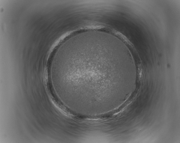 X0000078860726200611131202