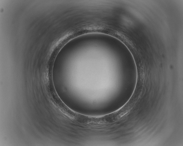 X0000078860727200611131202