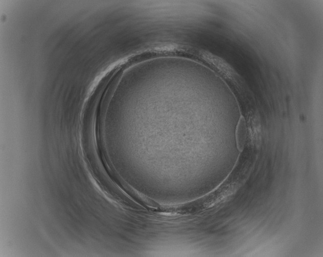 X0000078860728200611131202