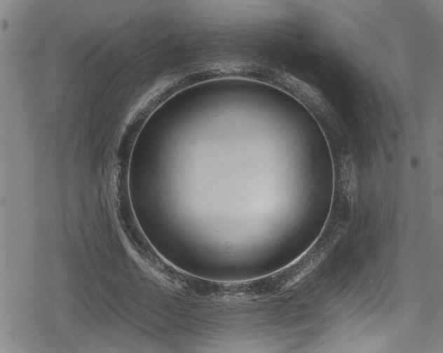 X0000078860730200611131202