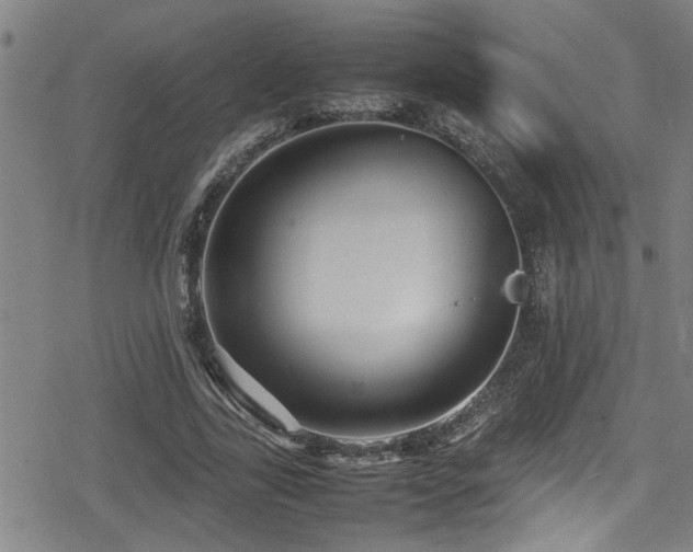 X0000078860731200611131202