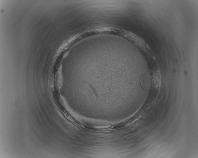 X0000078860732200611131202