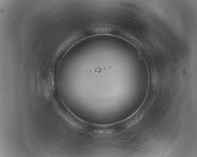 X0000078860733200611131202