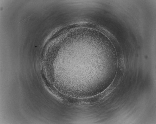 X0000078860734200611131202