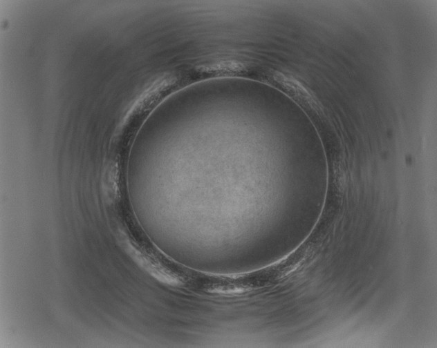 X0000078860735200611131202