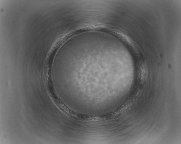 X0000078860736200611131202