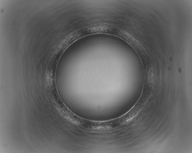 X0000078860737200611131202