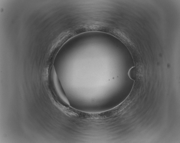 X0000078860738200611131202