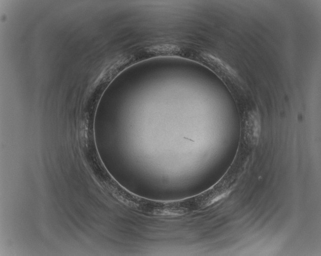 X0000078860739200611131202