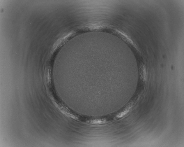 X0000078860740200611131202