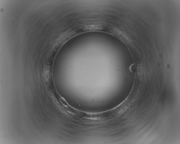 X0000078860741200611131202