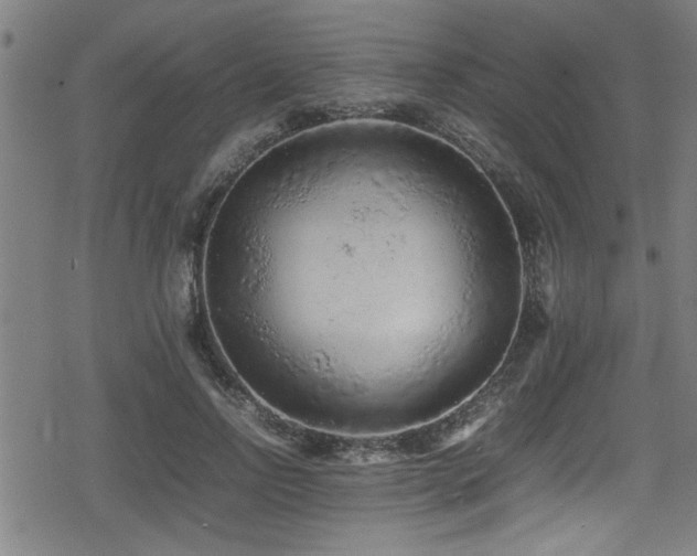 X0000078860742200611131202