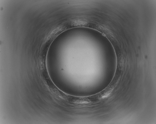 X0000078860743200611131202