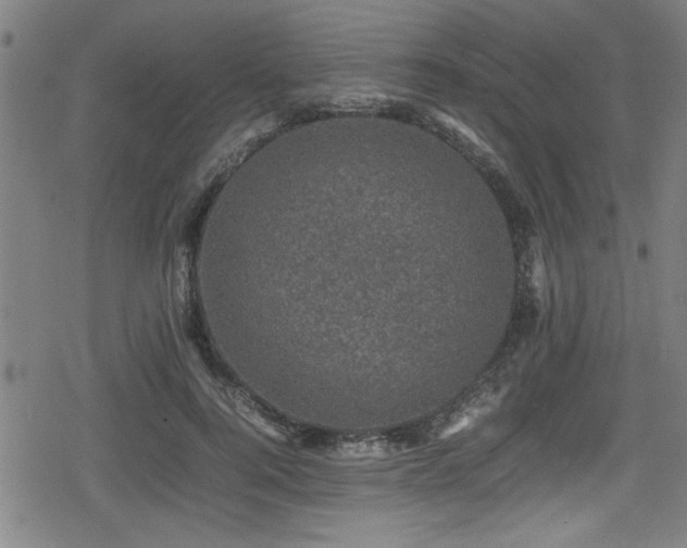 X0000078860744200611131202