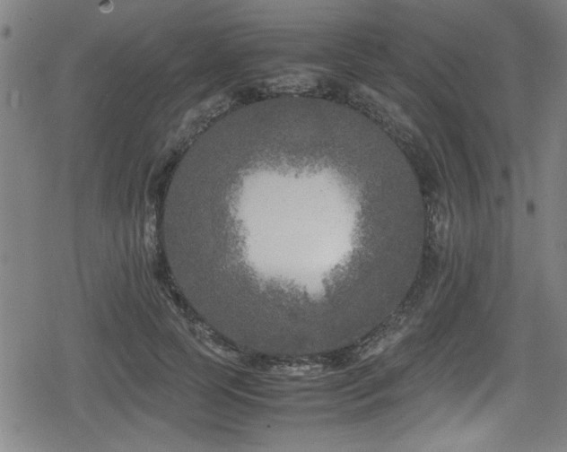 X0000078860745200611131202