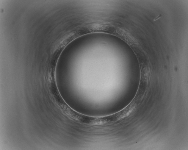 X0000078860746200611131202