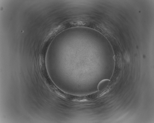 X0000078860747200611131202