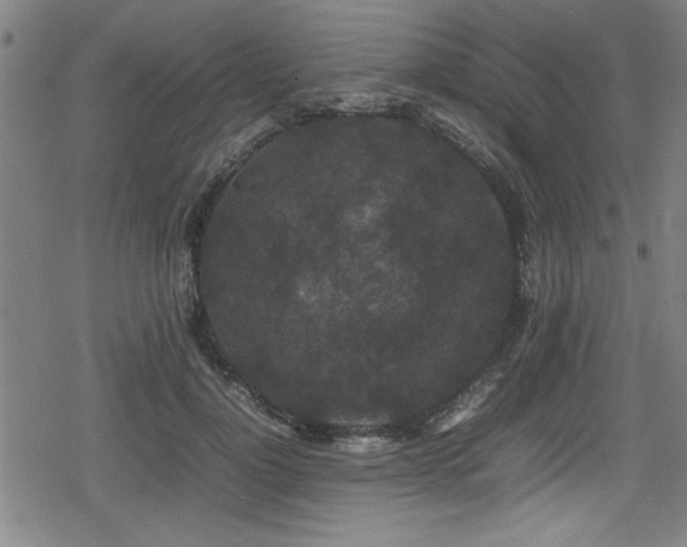 X0000078860748200611131202