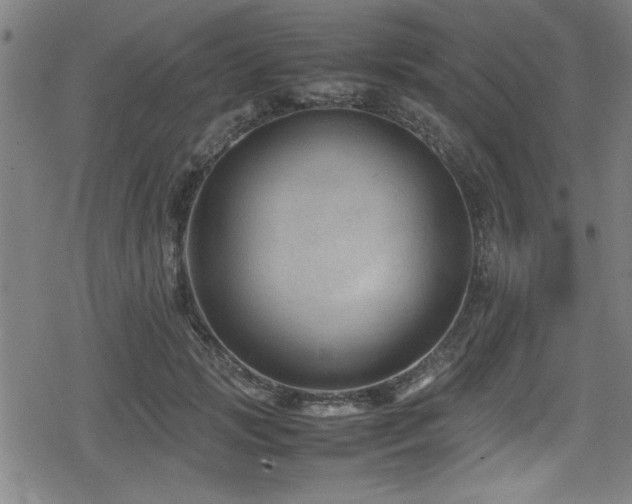 X0000078860749200611131202