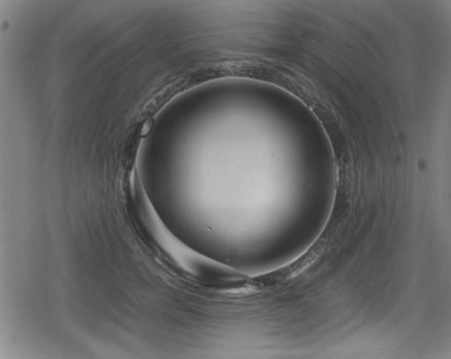 X0000078860750200611131202