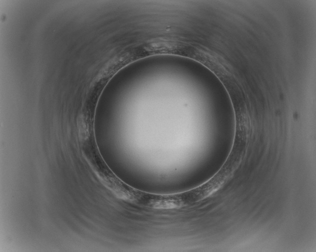 X0000078860751200611131202