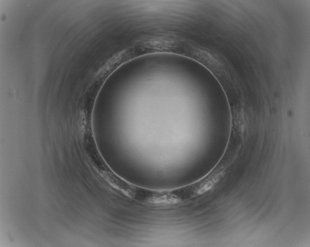 X0000078860752200611131202