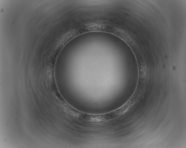 X0000078860753200611131203