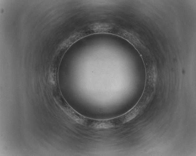 X0000078860755200611131203