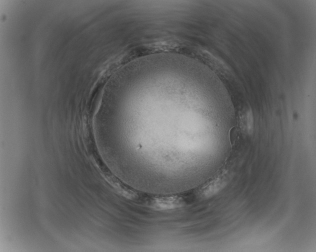 X0000078860757200611131203