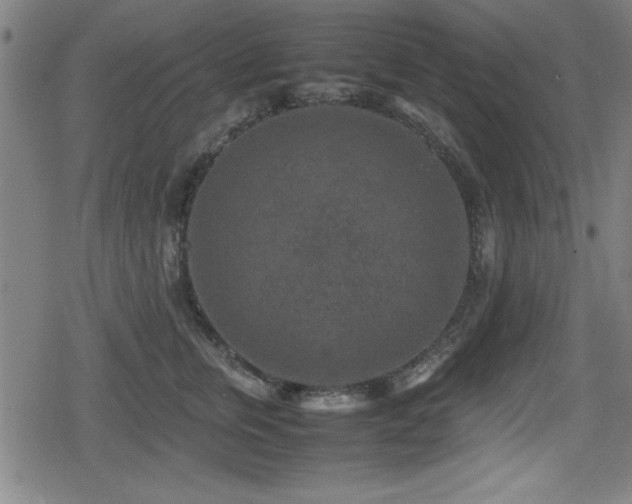 X0000078860759200611131203