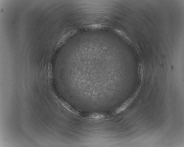 X0000078860760200611131203