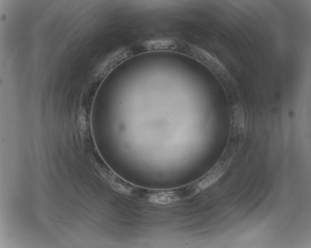 X0000078860761200611131203