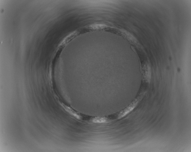 X0000078860762200611131203