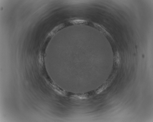 X0000078860763200611131203